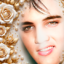 Miscelania Marycle Designer