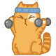 cat12.gif